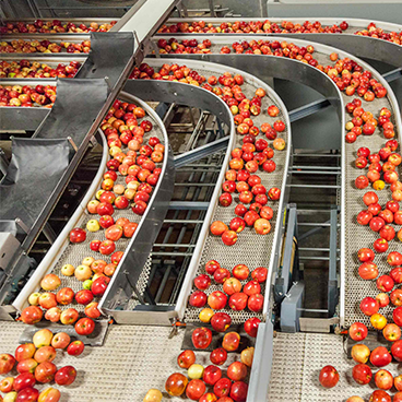 Dây chuyền chế biến trái cây